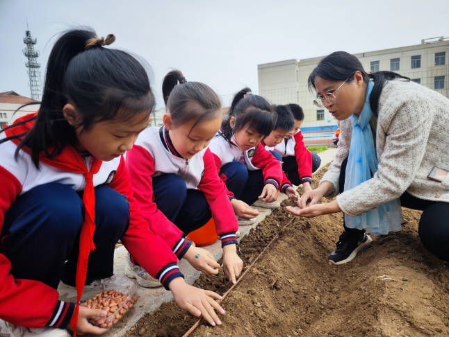 淄博市桓台县马桥镇陈庄小学 菜地变课堂 课后服务忙