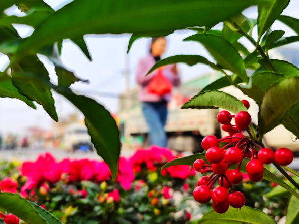 郯城：春暖花市闹 点靓新生活